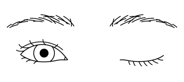 Augenzwinkern Der Frau Doppelte Augenlider Mandelaugen Umrissillustration — Stockvektor