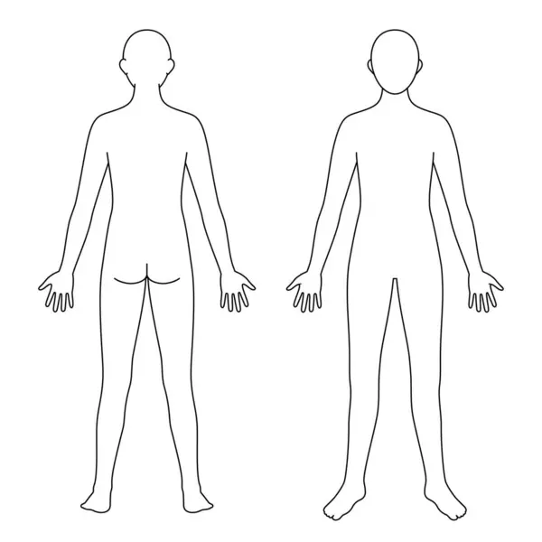 Modell Des Menschlichen Körpers Umriss Vorder Und Rückseite Vektordatei Stockvektor