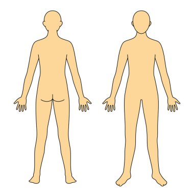 İnsan vücudu modeli, ana hatlar, ön ve arka, vektör dosyası