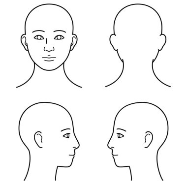 human head model, head skin, outline, front, back and side view, vector file set,  monochrome illustration