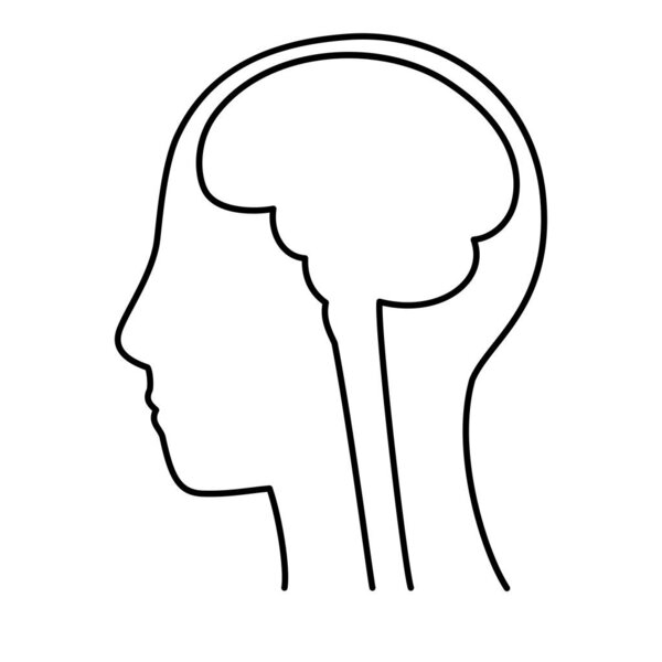 модель головы человека, мозг, контур, вид сбоку, набор векторных файлов, монохромная иллюстрация