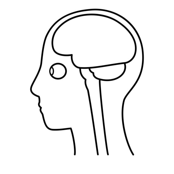 модель головы человека, мозг, контур, вид сбоку, набор векторных файлов, монохромная иллюстрация