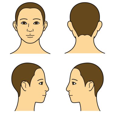 İnsan kafası modeli, tıraşlı kafa, dış hatlar, ön, arka ve yan görünüm, vektör dosyası seti, renk çizimi