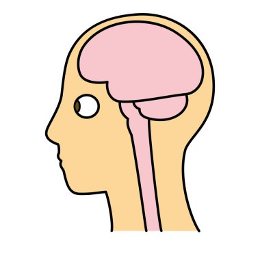 İnsan kafası modeli, beyin, taslak, kenar görünüm, vektör dosya kümesi, renk illüstrasyonu