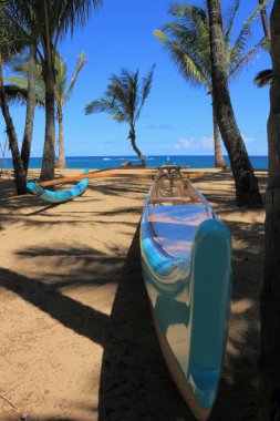  Birbirine paralel iki sıra yüksek palmiye ağacı arka planda bir kapıda kesişiyor.
