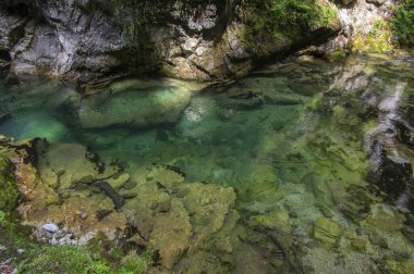 Vintgar vadisi nehir, kayalar ve doğa ile inanılmaz bir mağara, ahşap gıda yolları vahşi doğal rezerv manzarası boyunca insanlar olmadan yol gösteriyor.