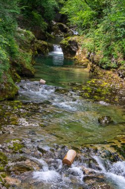 Vintgar vadisi nehir, kayalar ve doğa ile inanılmaz bir mağara, ahşap gıda yolları vahşi doğal rezerv manzarası boyunca insanlar olmadan yol gösteriyor.