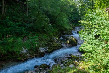 Vintgar vadisi nehir, kayalar ve doğa ile inanılmaz bir mağara, ahşap gıda yolları vahşi doğal rezerv manzarası boyunca insanlar olmadan yol gösteriyor.