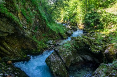Vintgar vadisi nehir, kayalar ve doğa ile inanılmaz bir mağara, ahşap gıda yolları vahşi doğal rezerv manzarası boyunca insanlar olmadan yol gösteriyor.