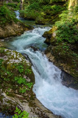 Vintgar vadisi nehir, kayalar ve doğa ile inanılmaz bir mağara, ahşap gıda yolları vahşi doğal rezerv manzarası boyunca insanlar olmadan yol gösteriyor.