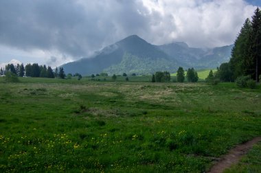 Amazing view of Mount Cornetto in italian Alps, hill hidden in rainy clouds, greenery sourroundings with beautiful natural park, flowers alpine meadow