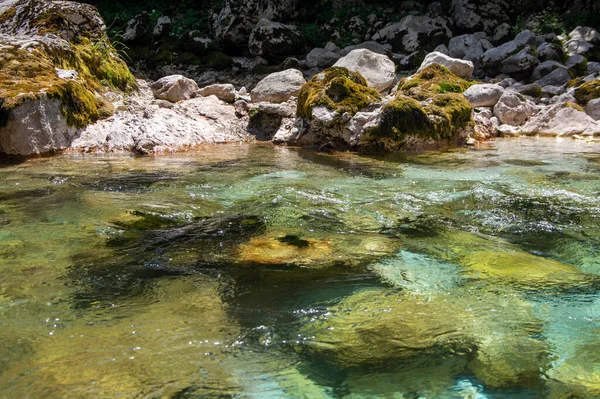 Удивительная Дикая Вода Долине Мала Корита Соце Маленький Чистый Бирюзовый — стоковое фото