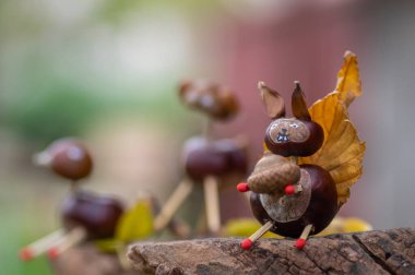 Komik kestane sincabı hayvan, doğal arka planda sevimli bir yüz, geleneksel sonbahar el becerisi çocuklarla.