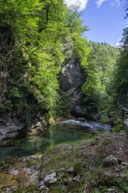 Vintgar vadisi nehir, kayalar ve doğa ile inanılmaz bir mağara, ahşap gıda yolları vahşi doğal rezerv manzarası boyunca insanlar olmadan yol gösteriyor.