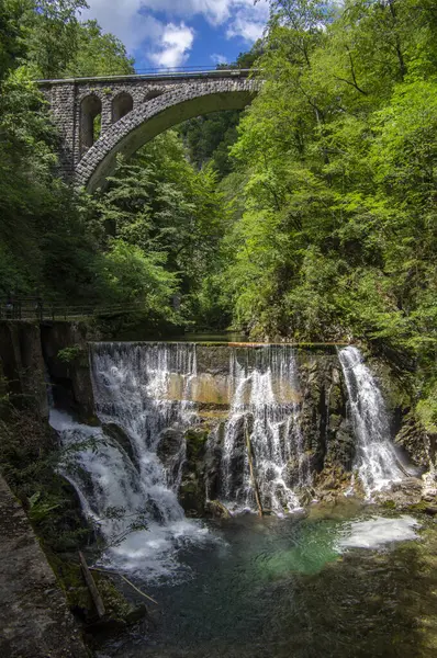 stock image Vintgar gorge amazing cayon with river, rocks and nature, wooden foodpaths leads through wild natural reserve scenery without people