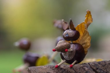 Komik kestane sincabı hayvan, doğal arka planda sevimli bir yüz, geleneksel sonbahar el becerisi çocuklarla.