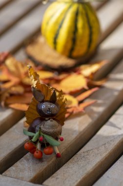 Funny chestnut squirell animal on wooden bench, ripened pumpkins on background, traditional autumnal handcraft with children clipart