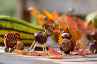 Komik kestane hayvanları Baykuş kuşu ördek, köpek ve sincap ahşap bankta, olgun balkabakları arka planda, geleneksel sonbahar el sanatları