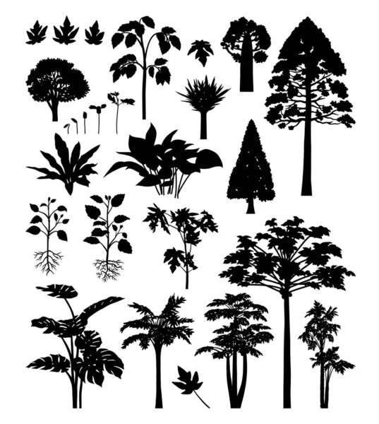 Palm Bambu Växter Silhuett Bra Användning För Skylt Symbol Ikon — Stock vektor