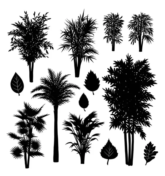 Palmer Bambu Och Växter Silhuett Bra Användning För Tecken Symbol — Stock vektor