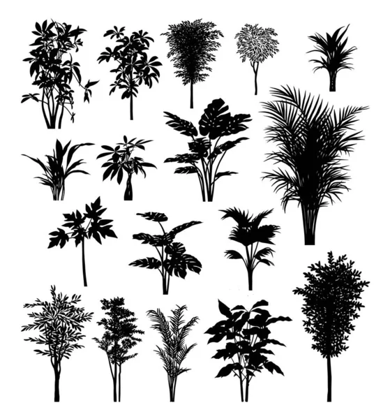 Palmen Bambus Papayabäume Und Pflanzen Silhouette Gute Verwendung Für Zeichen — Stockvektor