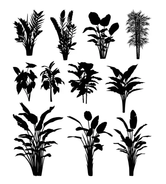 Bambus Bananen Und Pflanzen Silhouette Gute Verwendung Für Zeichen Symbol — Stockvektor
