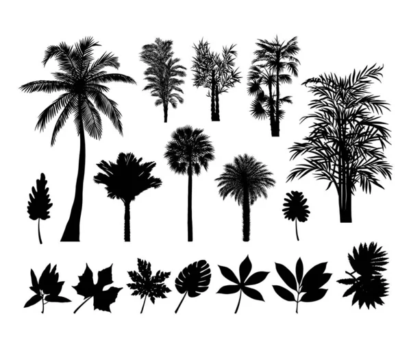 Palmen Und Pflanzen Silhouette Gute Verwendung Für Zeichen Symbol Symbol — Stockvektor