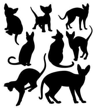 Kedi evcil hayvan hareketli siyah siluet