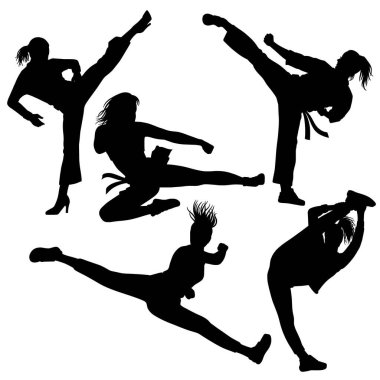 Kadın tekme karate poz dövüş sporu aksiyon siyah siluet