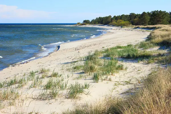 Limuzin Sahili, adanın güneydoğusunda geniş (30-50 metre) bir kumsaldır. Denizden uzakta kum tepelerine büyük miktarda kum yığılmış durumda. Plaj, deniz ve kum tepeciklerine oyulmuş 0.3-1 metre yüksekliğindeki kıyı terasında sona eriyor.. .