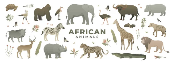 African savannah animals set. Modern vector illustration of safari wildlife. Wild animal collection isolated on white background. Elephant, giraffe, zebra, leopard, lion, gorilla, crocodile.