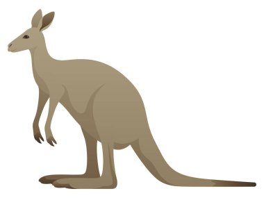 Avustralya kangurusunun renk vektör çizimi. Beyaz arka planda yabani keseli hayvan. Avustralya ve Yeni Gine.