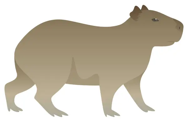 stock vector Color vector illustration of cute capybara side view. Wild animal isolated on white background. Herbivorous, friendly mammal, exotic pet. Wildlife of South America.