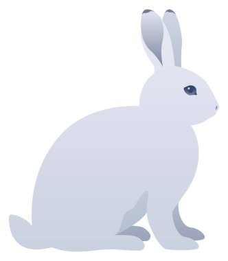 Arktik tavşan gerçekçi vektör çizimi. Şirin kutup tavşanı yan manzaralı. Beyaz üzerinde izole edilmiş tavşan rengi grafiği. Tundra ve Buz Hayvanı.