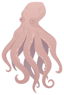 Ahtapot izole edilmiş vektör çizimi. Deniz yumuşakçası. Su altı hayvan klipsi sanatı. Deniz yaşamı.