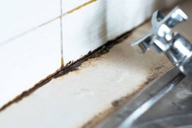 Mutfak lavabosundaki küf. Musluktan su sızıyor. Yüksek kalite fotoğraf