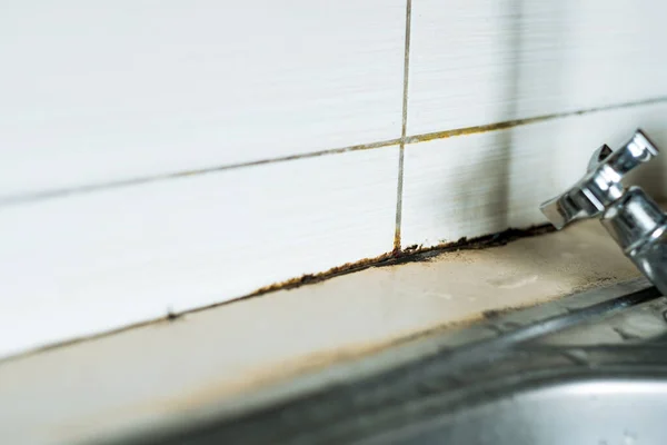 stock image Mildew mold on kitchen sink. Water leaking from the faucet. High quality photo