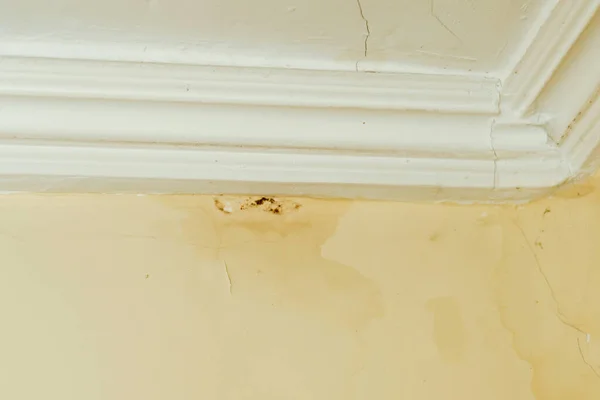 Forma Przeciekającego Dachu Plamy Wodzie Pleśń Beżowej Ścianie Stary Dach — Zdjęcie stockowe