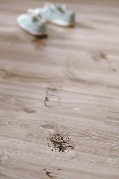 Eine Spur Von Schmutz Auf Dem Boden Drinnen Schmutzige Flecken — Stockfoto