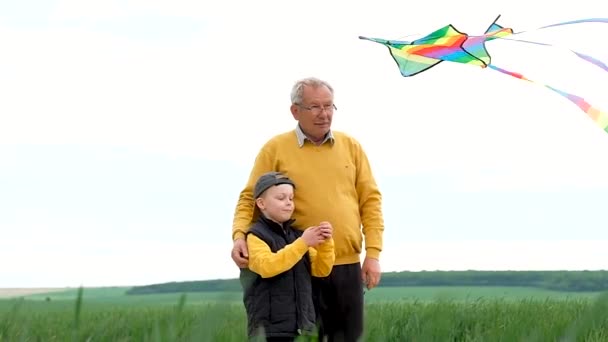 Starší Vnukem Pouštějí Draka Uprostřed Zeleného Pole Šťastnou Rodinu Koncept — Stock video