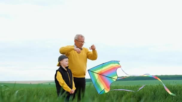 Dědeček Vnukem Pouštějí Draka Uprostřed Zeleného Pole Šťastnou Rodinu Koncept — Stock video