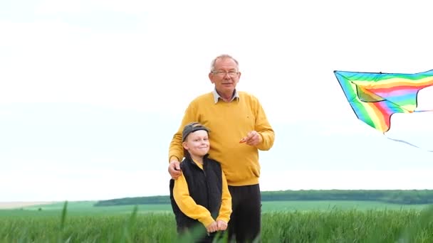 Старший Внуком Запускает Воздушного Змея Посреди Зеленого Поля Счастливая Семья — стоковое видео