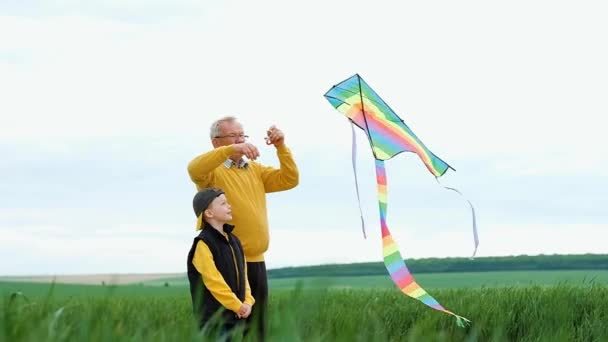 Starší Vnukem Pouštějí Draka Uprostřed Zeleného Pole Šťastnou Rodinu Koncept — Stock video