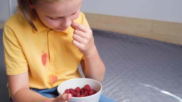 Oigenkännlig Barn Äter Hallon Med Händerna Smutsiga Bär Fläckar Kläder — Stockvideo