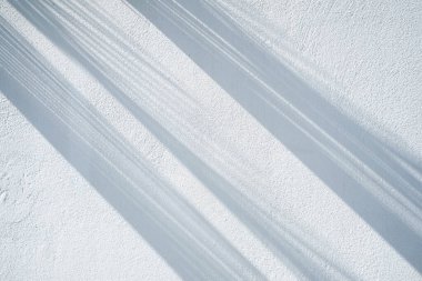 Soyut gölgeler arka plan ışığı. Palmiye yapraklarının gölgesi beyaz bir duvarda. Yüksek kalite fotoğraf