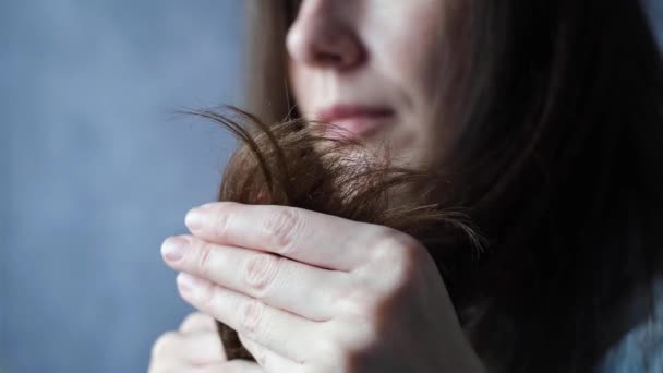 Close Split Parched Hand Woman Brunette Hair Hair Care Concept — Stock Video
