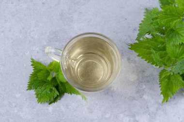 Bitkisel ısırgan otu çayı ve taze ısırgan otu yapraklı. Gri arka planda bir bardak ısırgan otu çayı. Kilo kaybı ve detoks. Alternatif tıp. Yüksek kalite fotoğraf