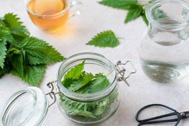 Bitkisel ısırgan otu tentürü yap. Isırgan otu yapraklı cam bir kavanoz. Kilo kaybı ve detoks. Alternatif tıp. Üst Manzara. Yüksek kalite fotoğraf