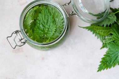 El yapımı bitkisel ısırgan otu tentürü. Isırgan otu yapraklı cam bir kavanoz. Kilo kaybı ve detoks. Alternatif tıp. Üst Manzara. Yüksek kalite fotoğraf