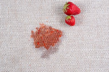 Kumaş kanepe ya da halıdaki taze dut lekesi. Günlük hayat kirli leke konsepti. Üst Manzara. Yüksek kalite fotoğraf